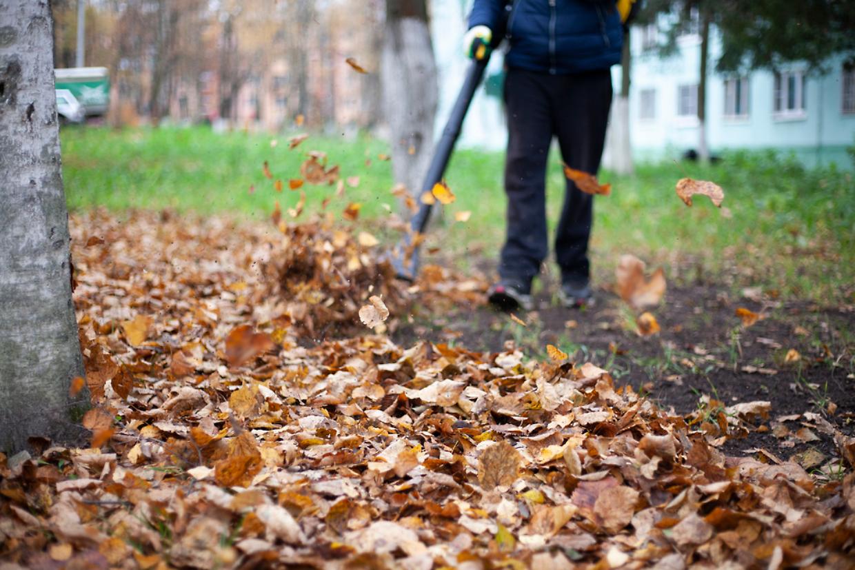lavori socialmente utili dp Cleaning leaves in the garden. The gardener is fanning the folia