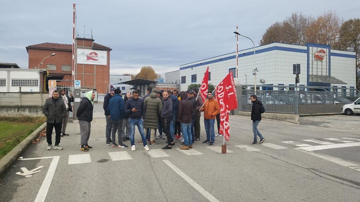 Raspini