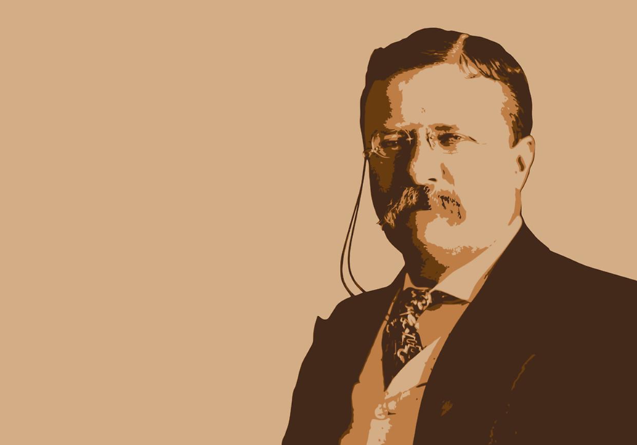 ROOSEVELT THEODORE - President des USA