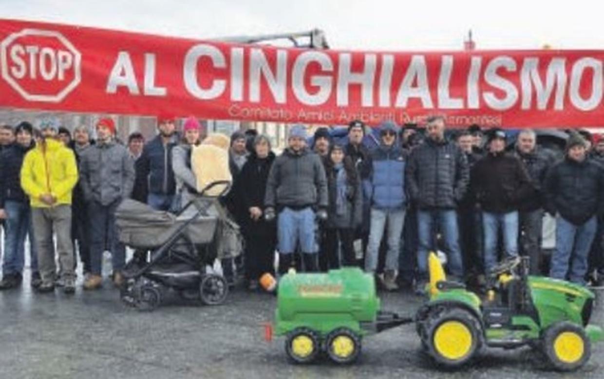 Cinghialismo