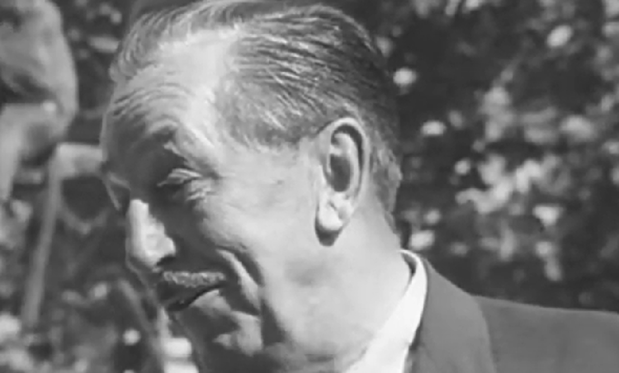 walt disney
