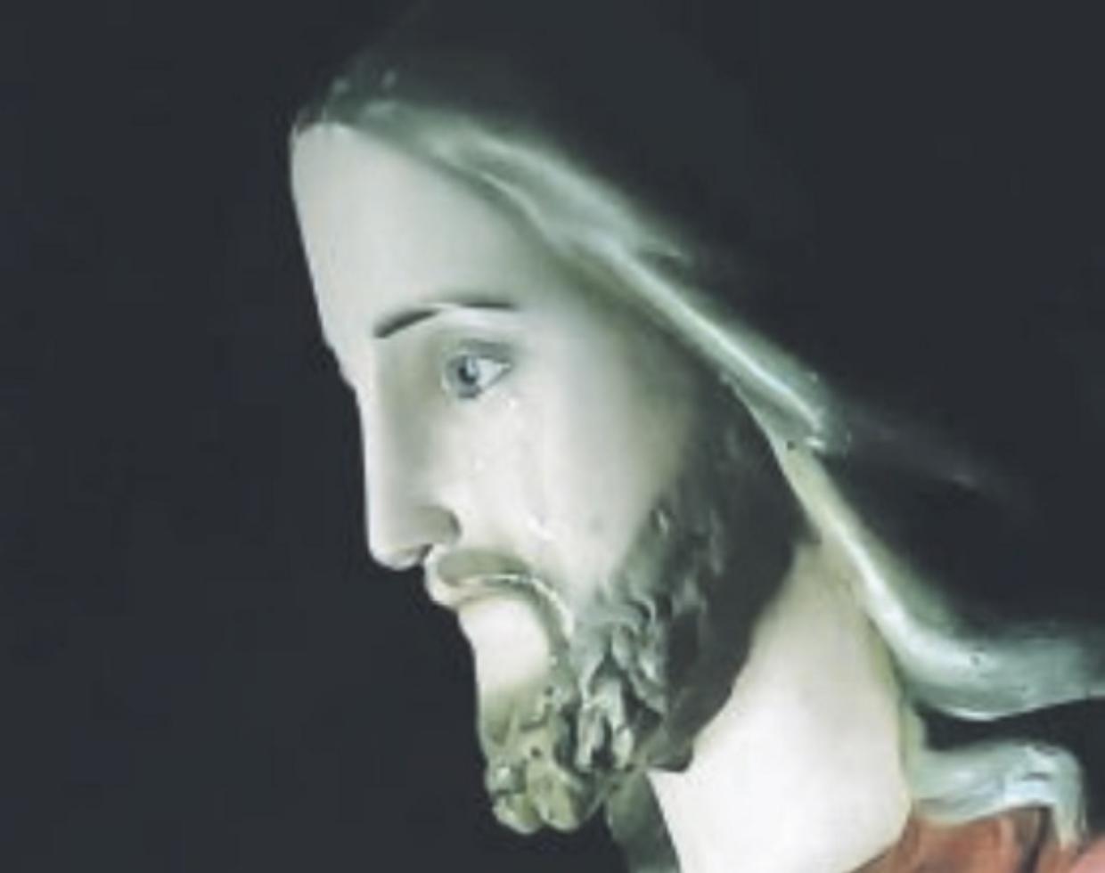 gesu piange stupinigi