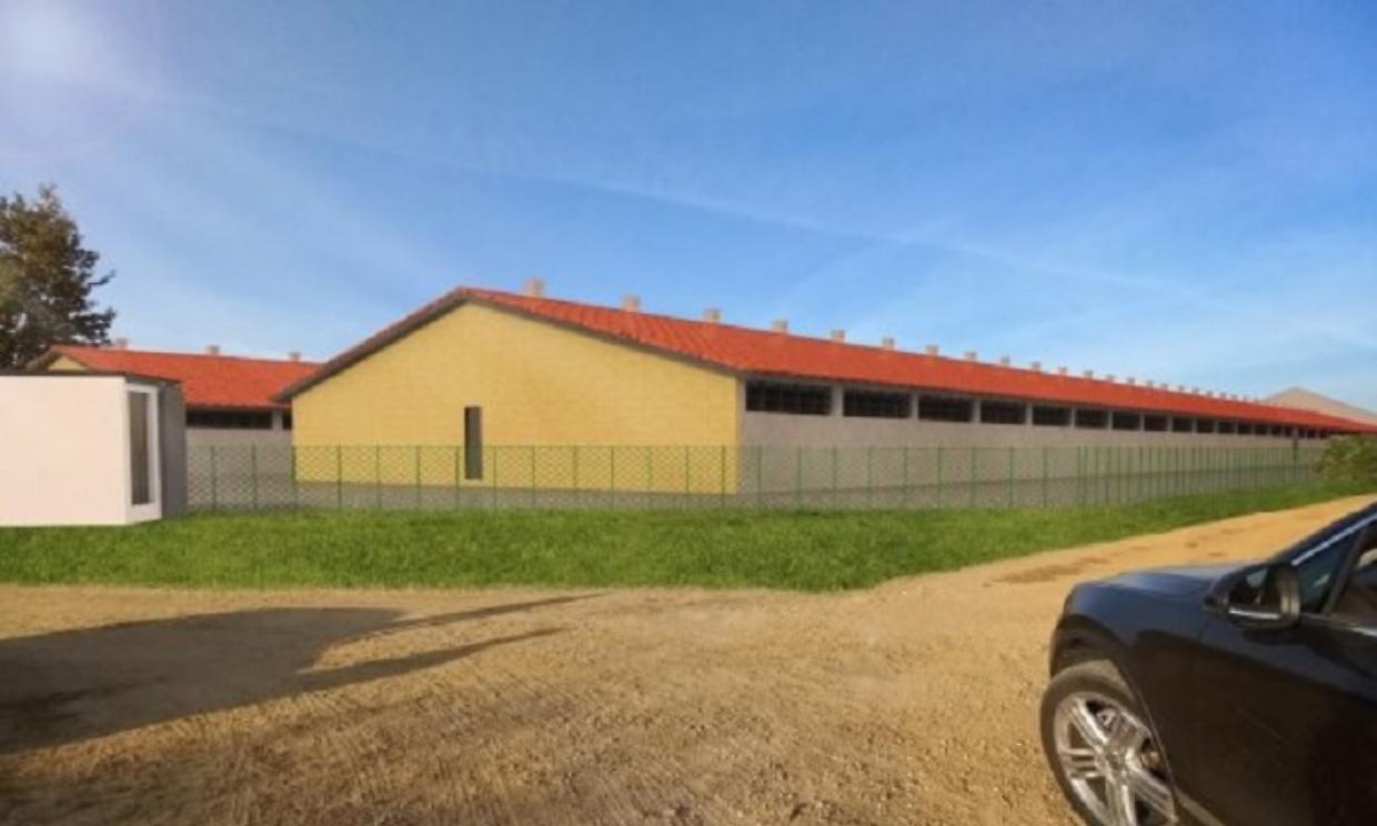 Un maxi allevamento di maiali spaventa Poirino e Carmagnola