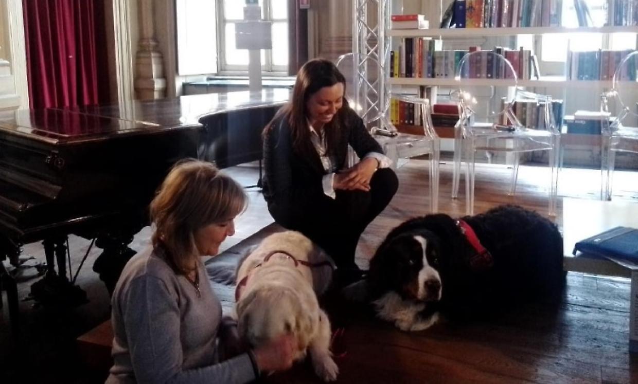 pet therapy