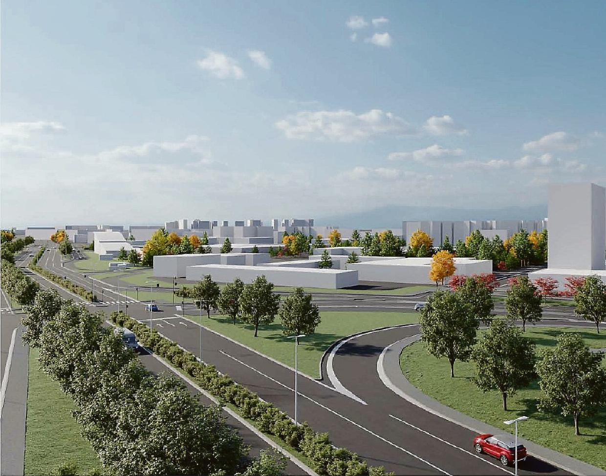 Il Viale della Spina si rifà il look con nuovi svincoli e 140 alberi