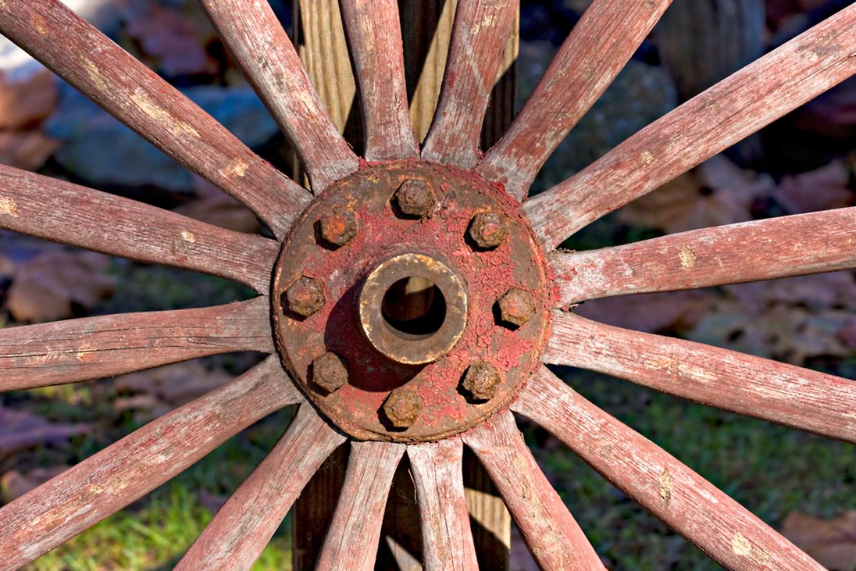 ruota carro carrozza dp