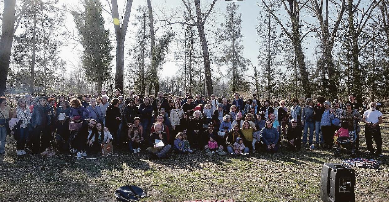 parco meisino sit in