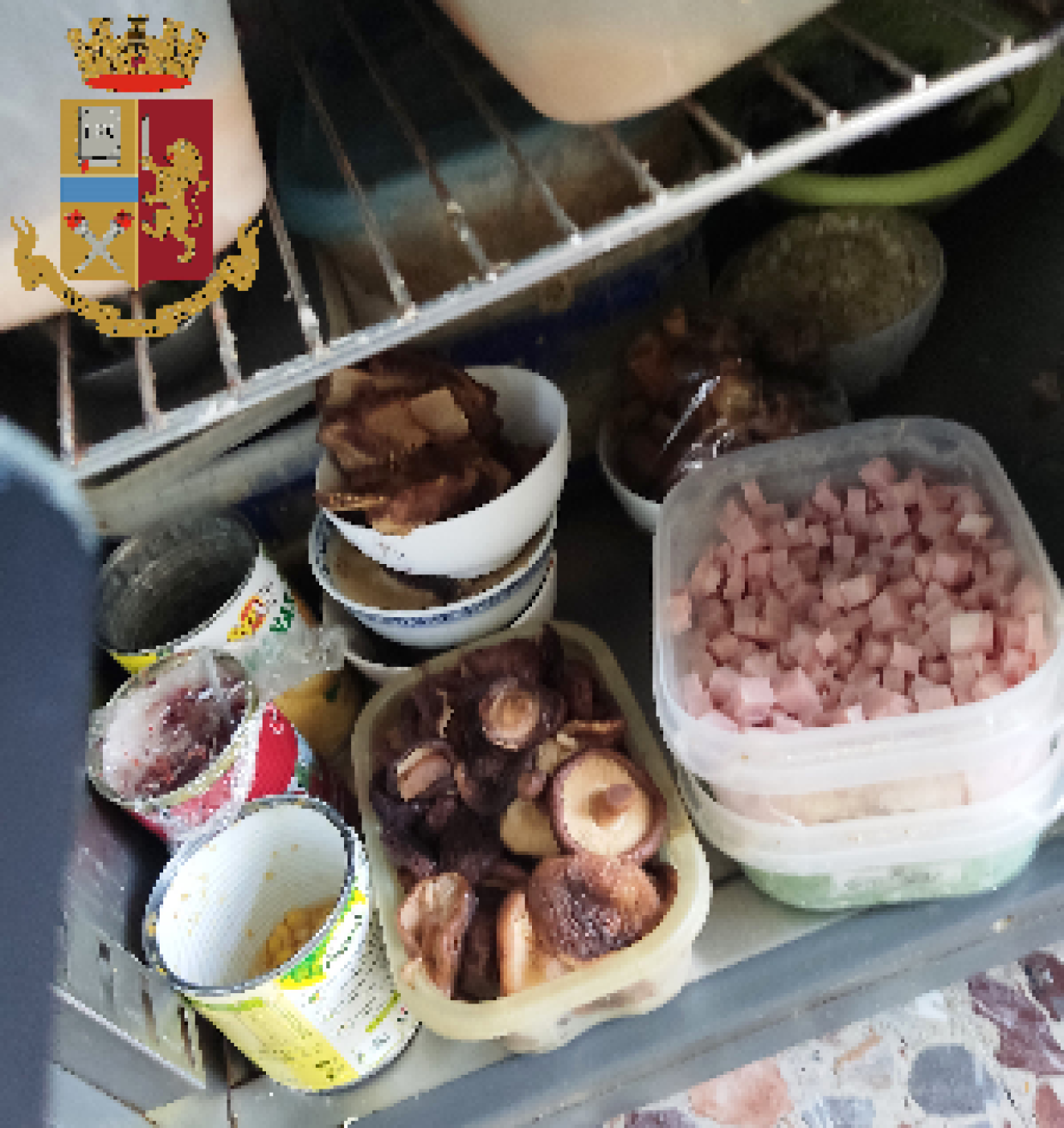 cibo mal conservato