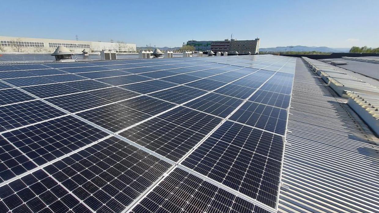 A La Loggia nasce un'oasi verde: il parco fotovoltaico galleggiante che riduce le emissioni di CO2 