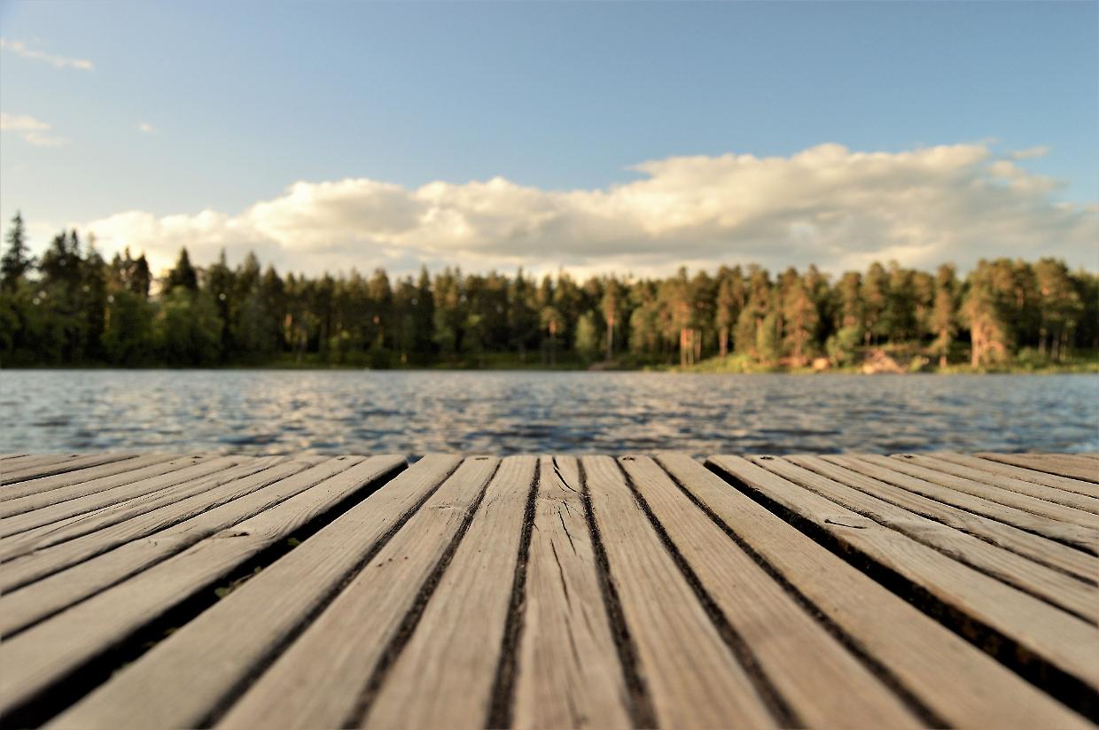 Scienza e letteratura si fondono sulle acque del Parco Naturale di Candia con le letture 'galleggianti'