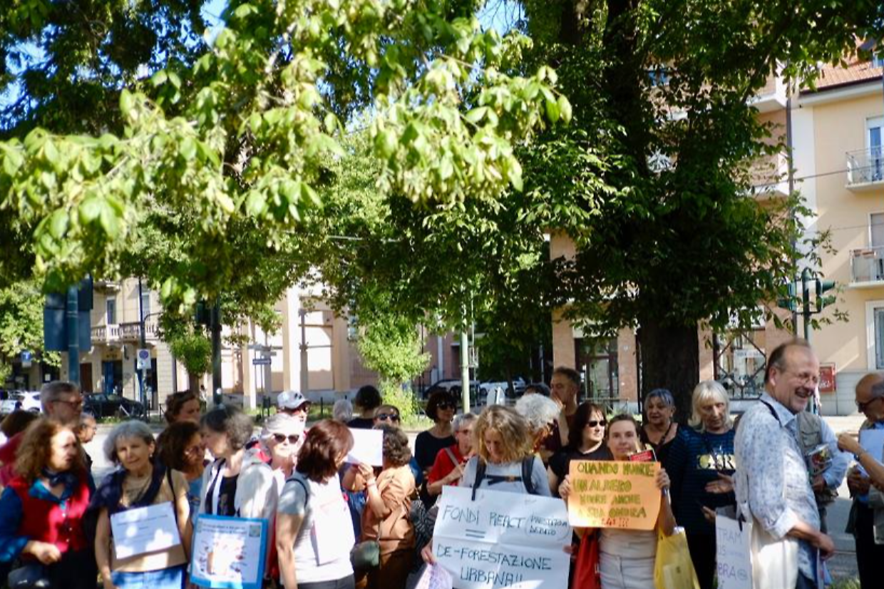 L'ultima manifestazione per salvare gli alberi di corso Belgio 