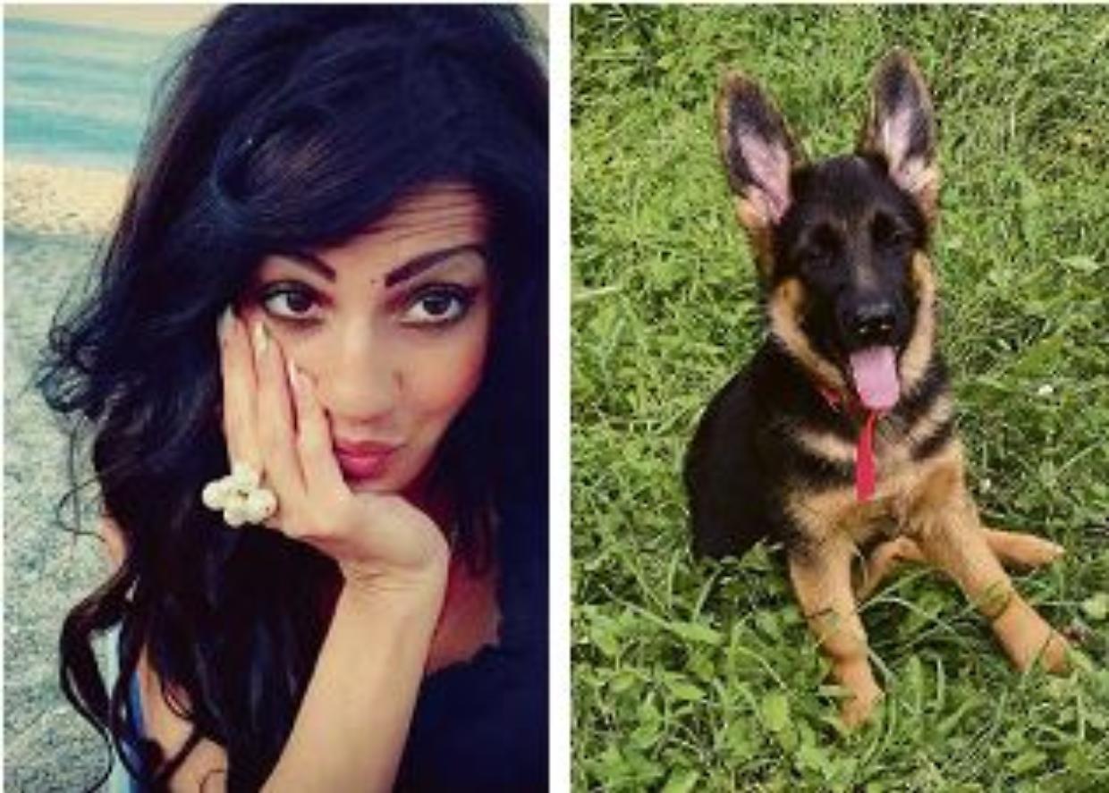 Floriana Floris cane cucciolo pastore tedesco omicidio incisa scapaccino