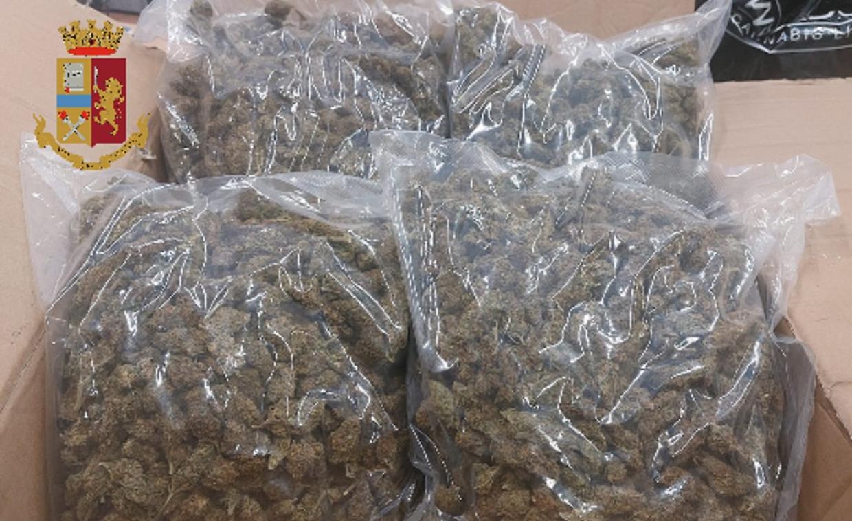 La droga