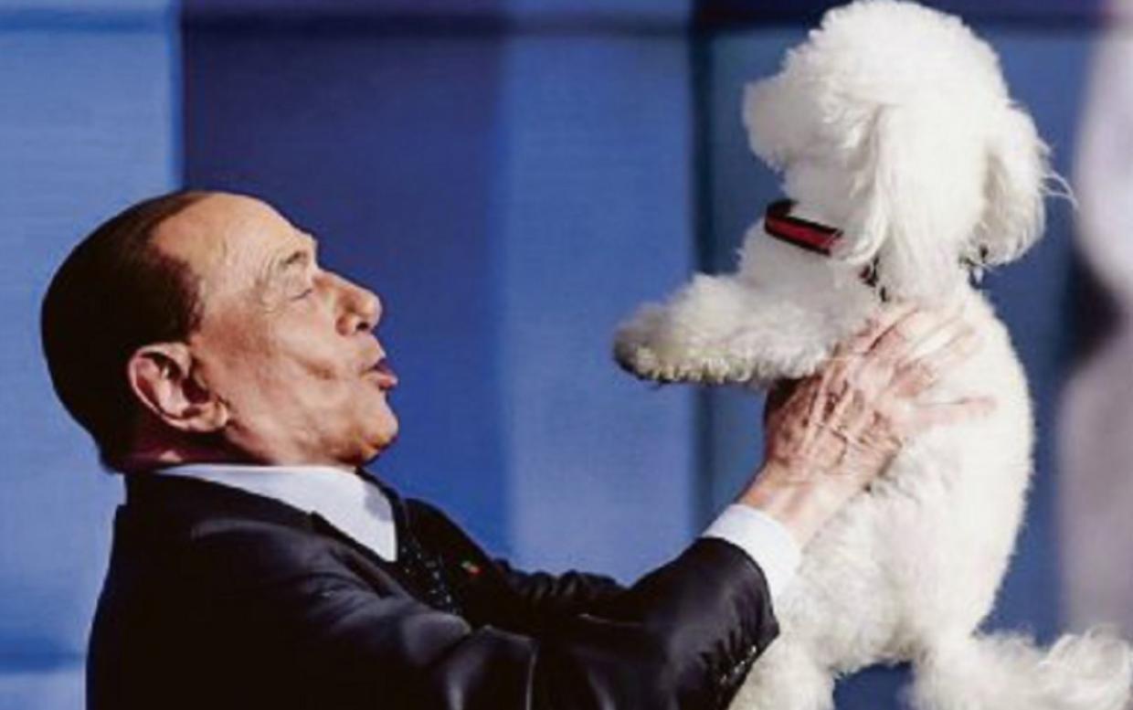 Silvio Berlusconi e Dudu