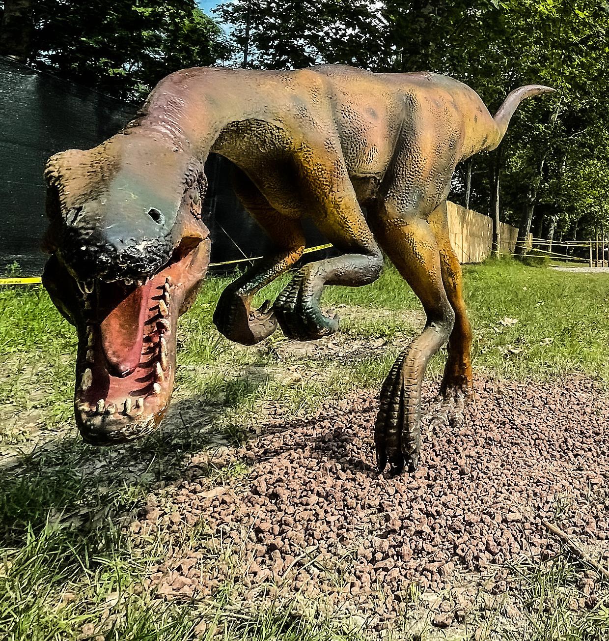 Il dinosauro