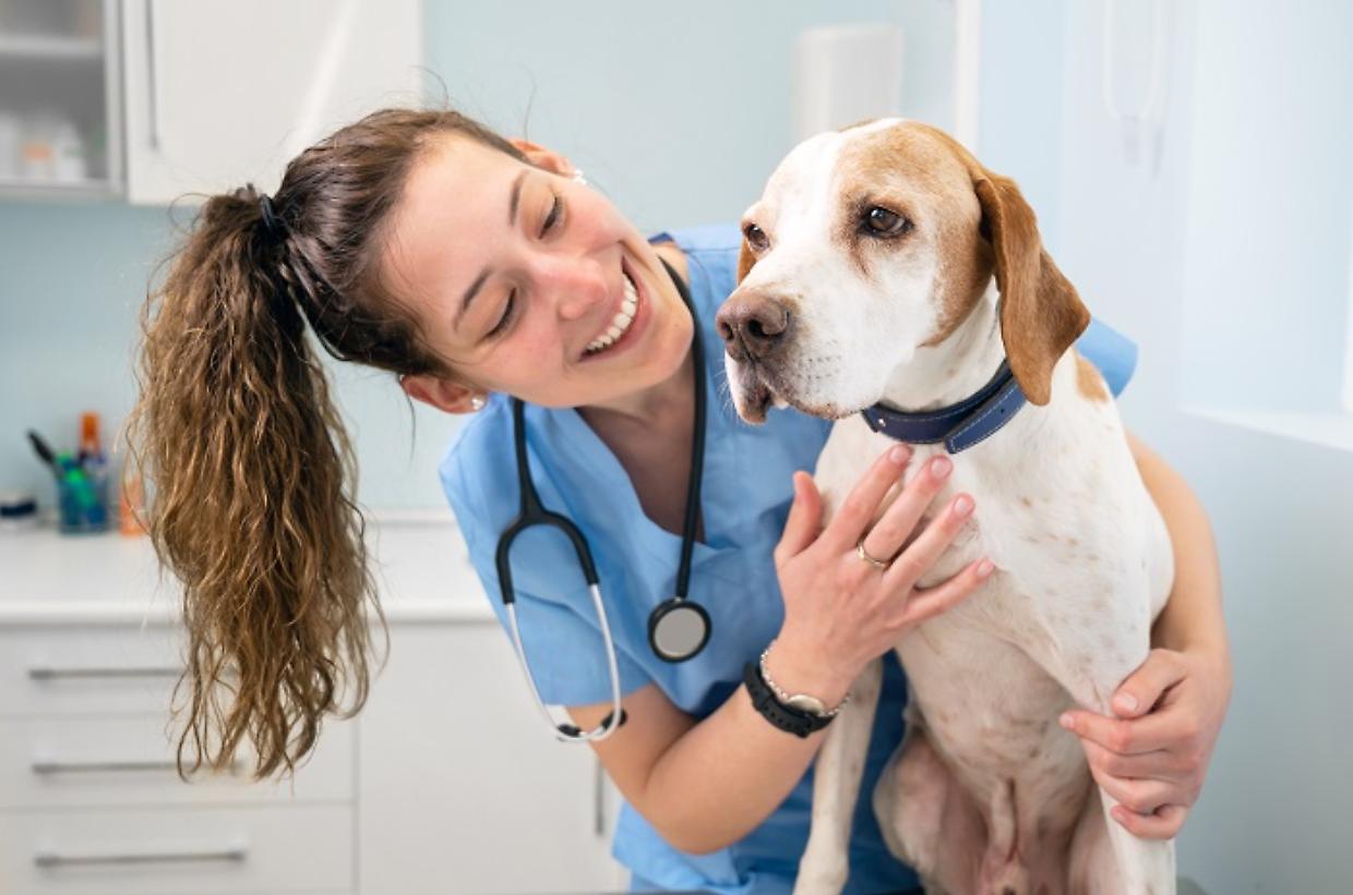 Arrivano 15 ambulatori sociali veterinari in Piemonte