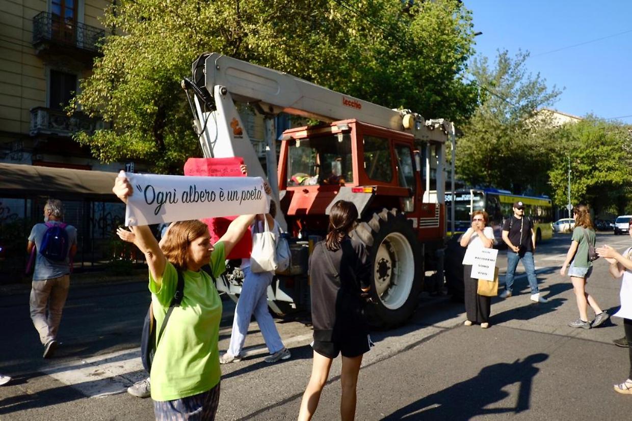 Corso Belgio, i cittadini fermano l'abbattimento degli alberi