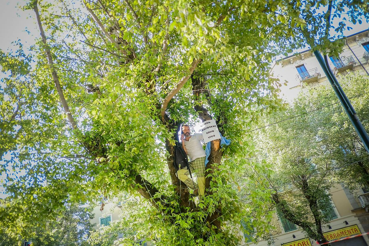 Si è svegliata l’anima verde