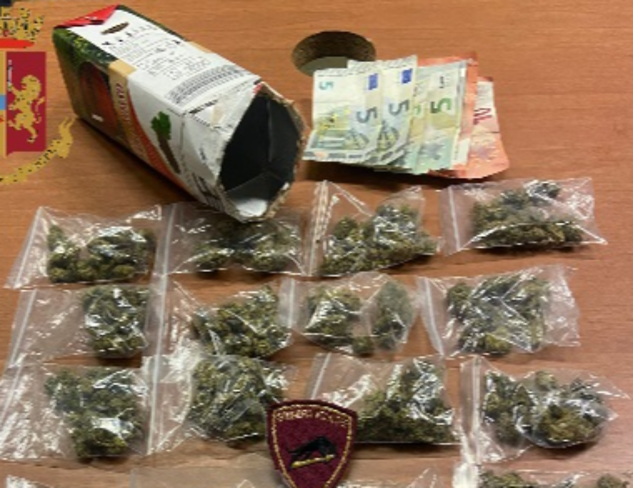 droga marijuana brick vino