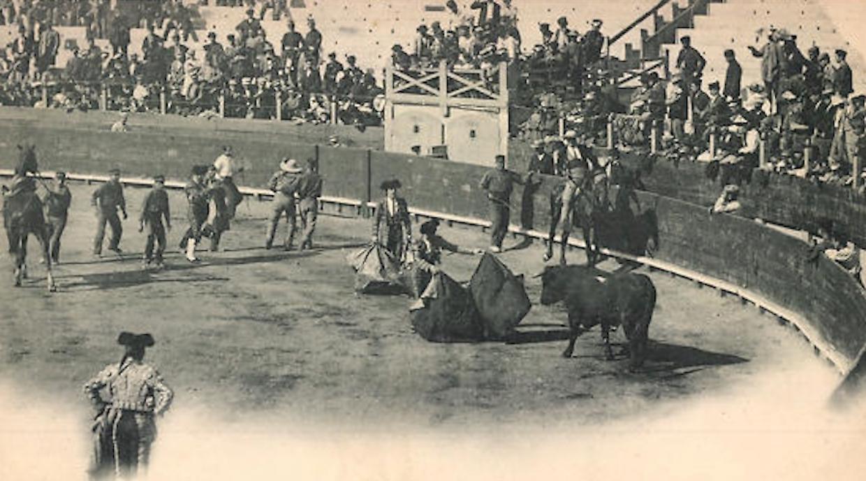 Ventimila torinesi assistonoa una speciale corrida dei tori