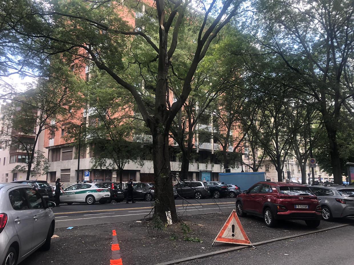 Il ramo caduto in corso Marconi