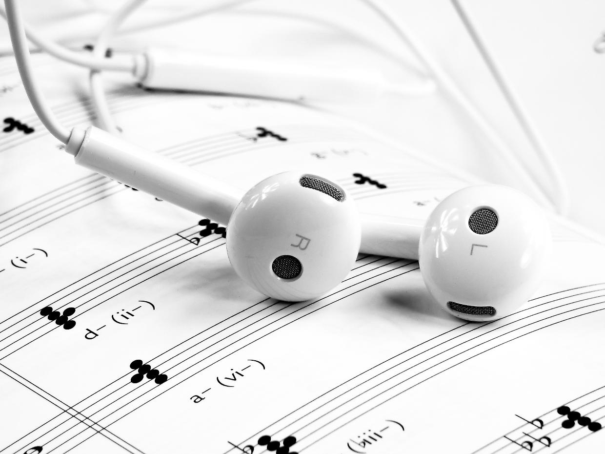 auricolari denuncia esame di guida
