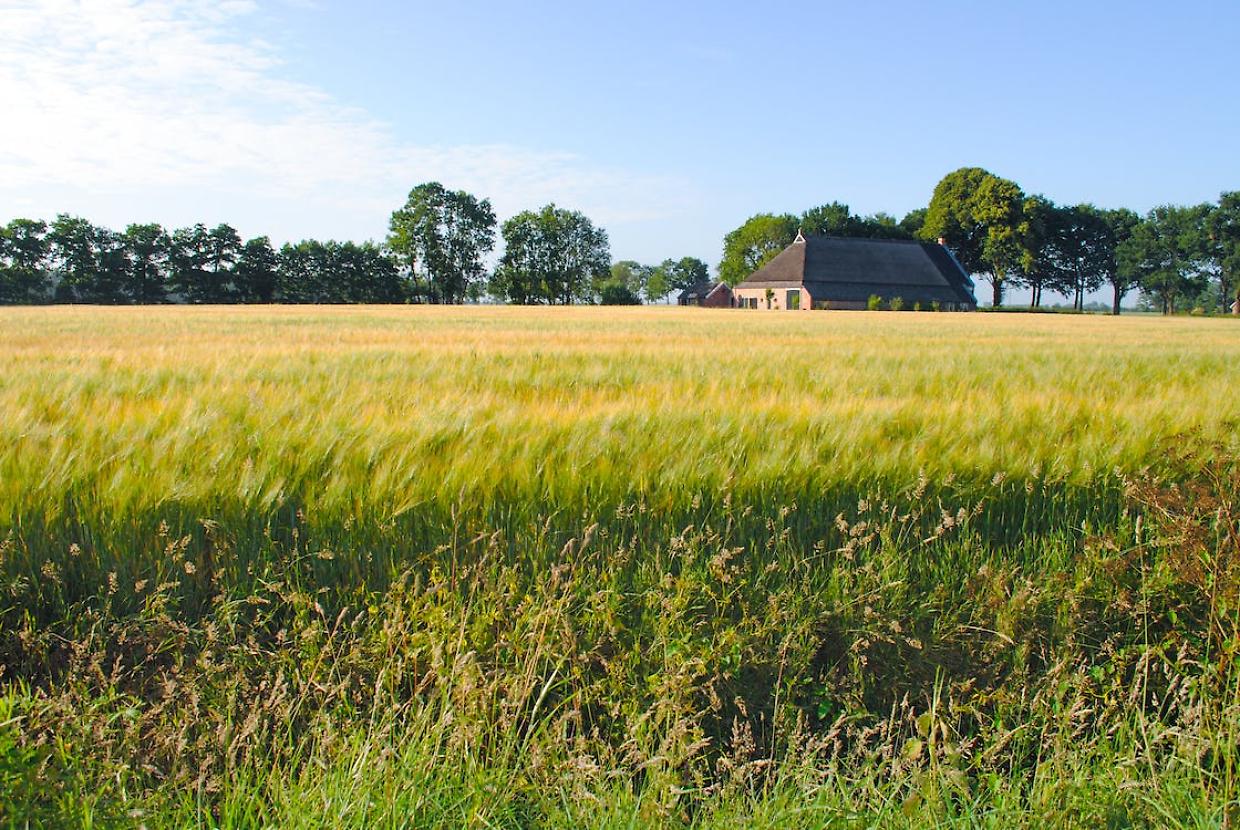 Reinventarsi per il successo: la storia di Devis Rascano nel settore immobiliare agricolo