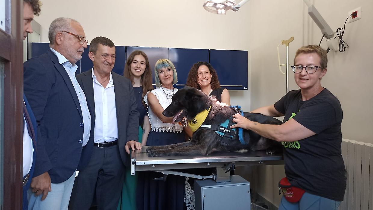 veterinari gratuiti