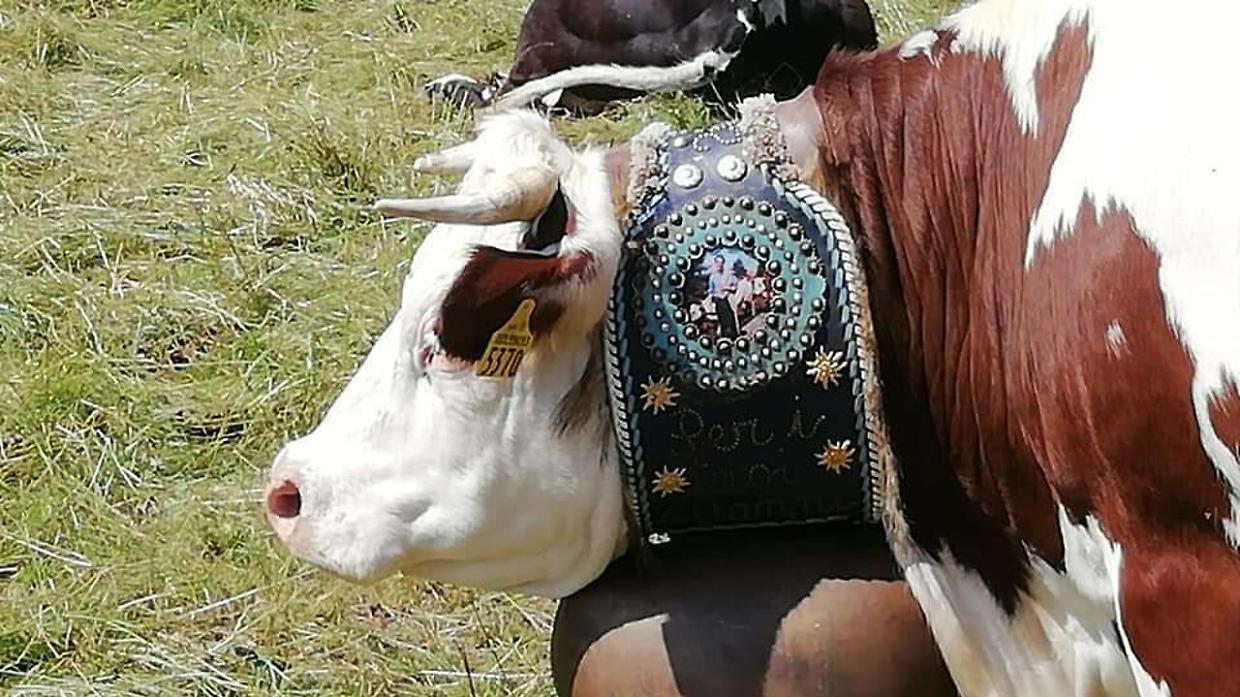 Miss Mucca
