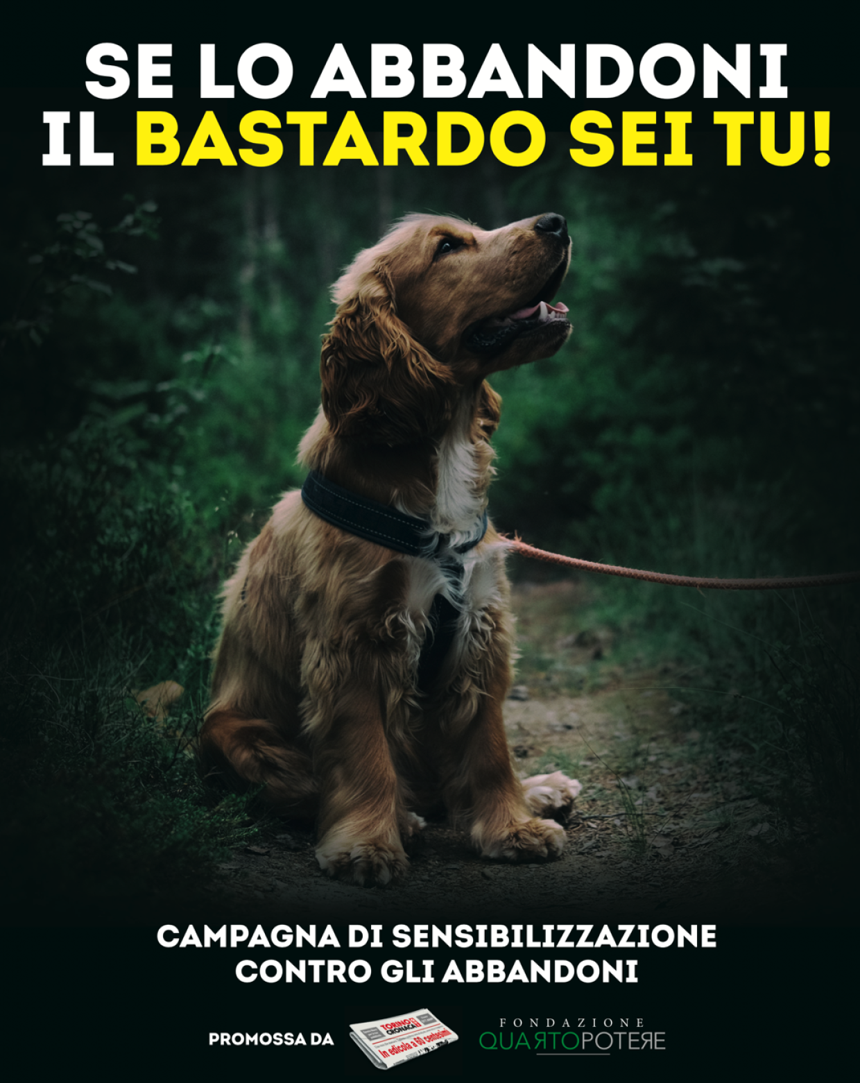Se lo abbandoni, il bastardo sei tu!