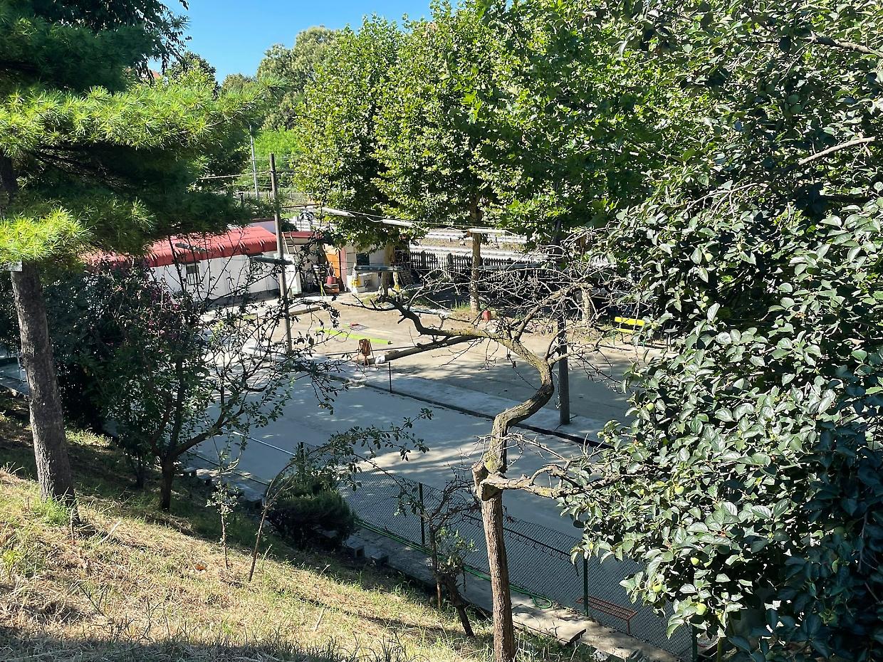 La pista da bocce de "La Tampa"