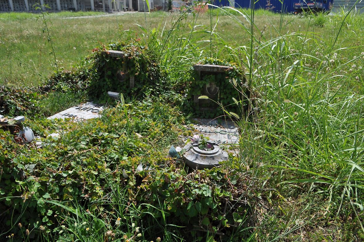 L'erba altissima al Monumentale