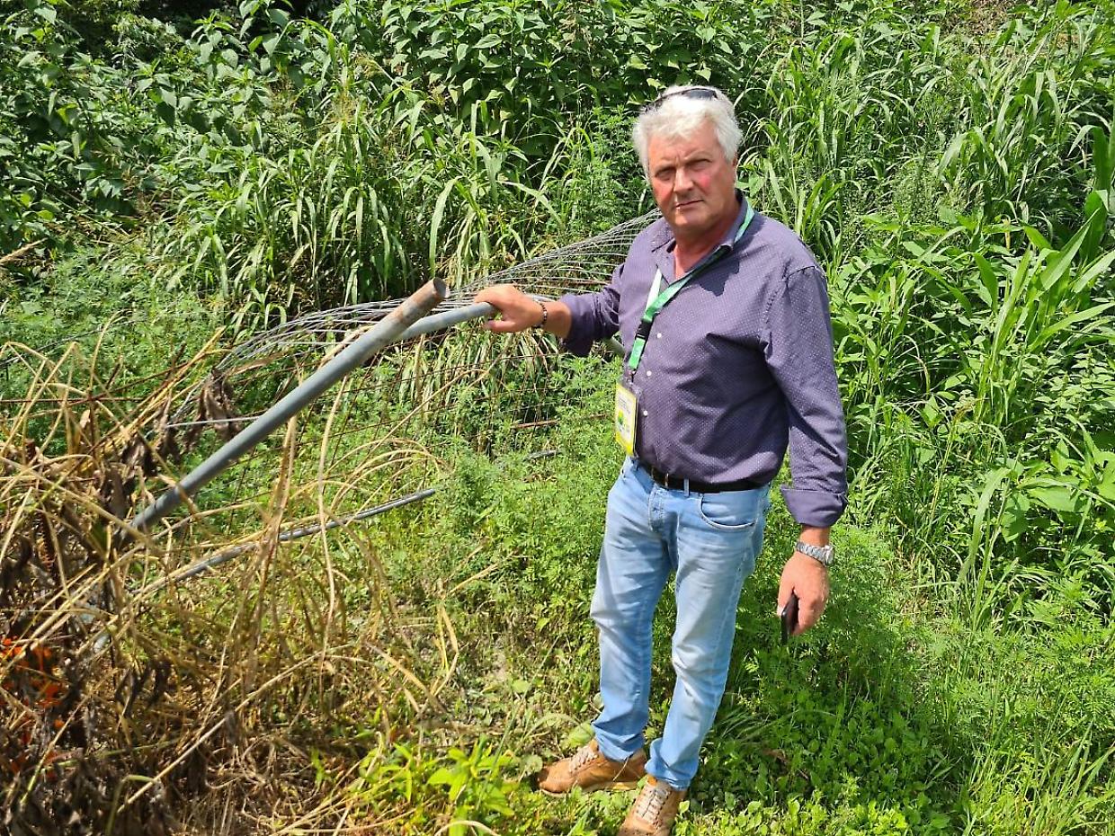 Il presidente