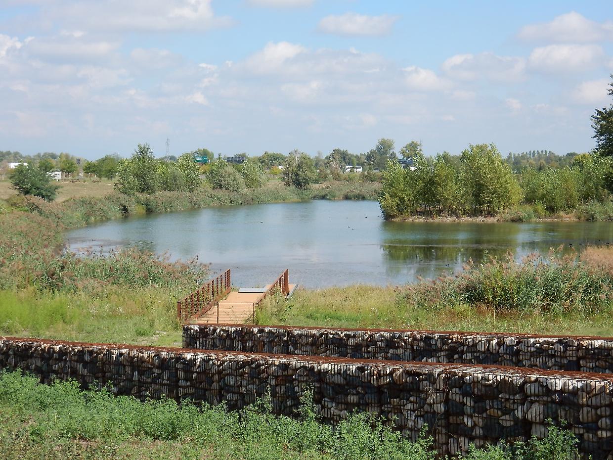 Il parco laghetti di Falchera