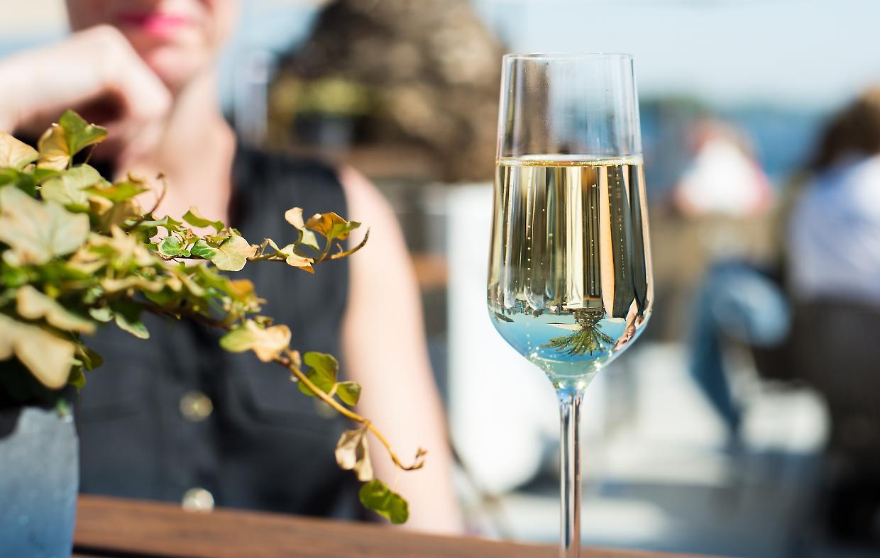 La Masera: la passione per il territorio si trasforma in eleganti vini di qualità 