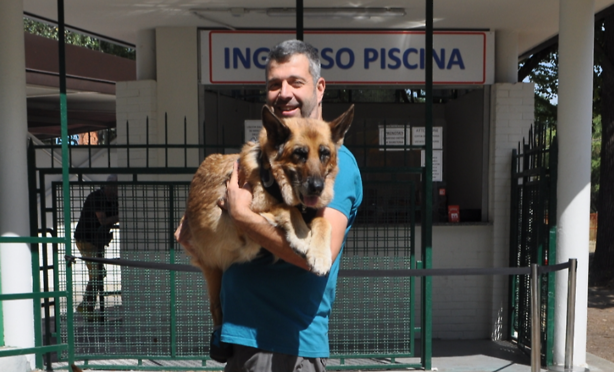 I cani non possono entrare nelle piscine di Torino