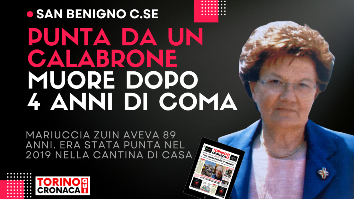 Punta da un calabrone, muore dopo 4 anni di coma