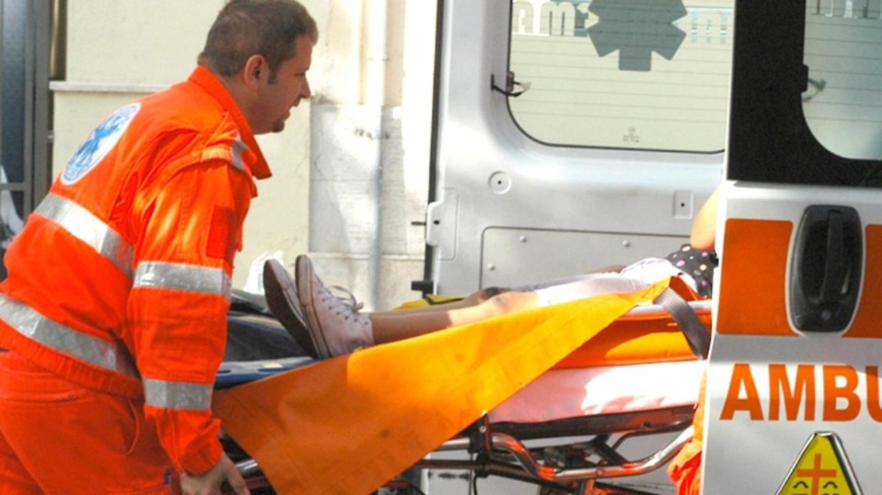 Perché il calabrone è pericoloso? Cosa fare in caso di puntura