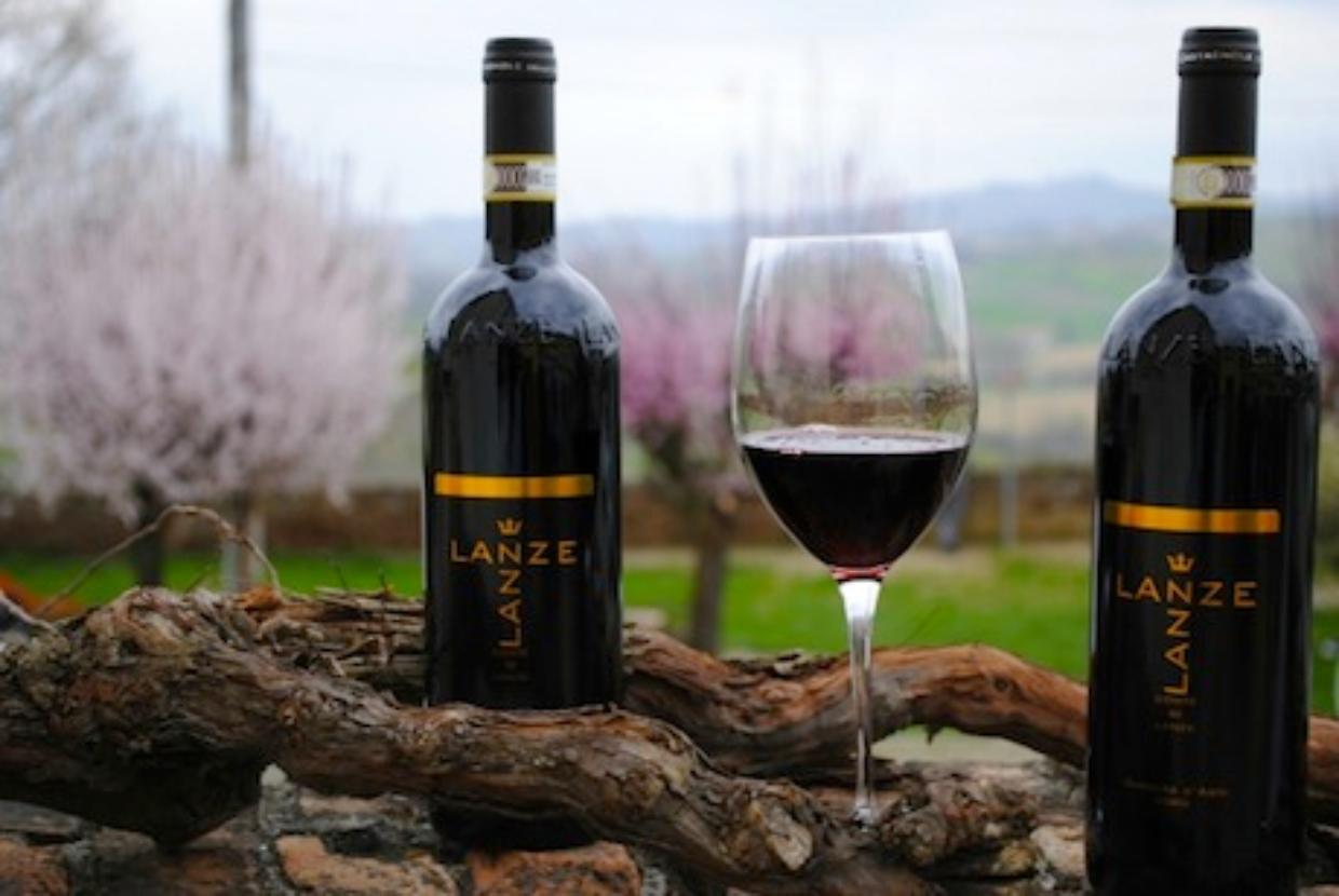 Sognate una vigna e di produrre il vostro vino? Bastano 100 euro
