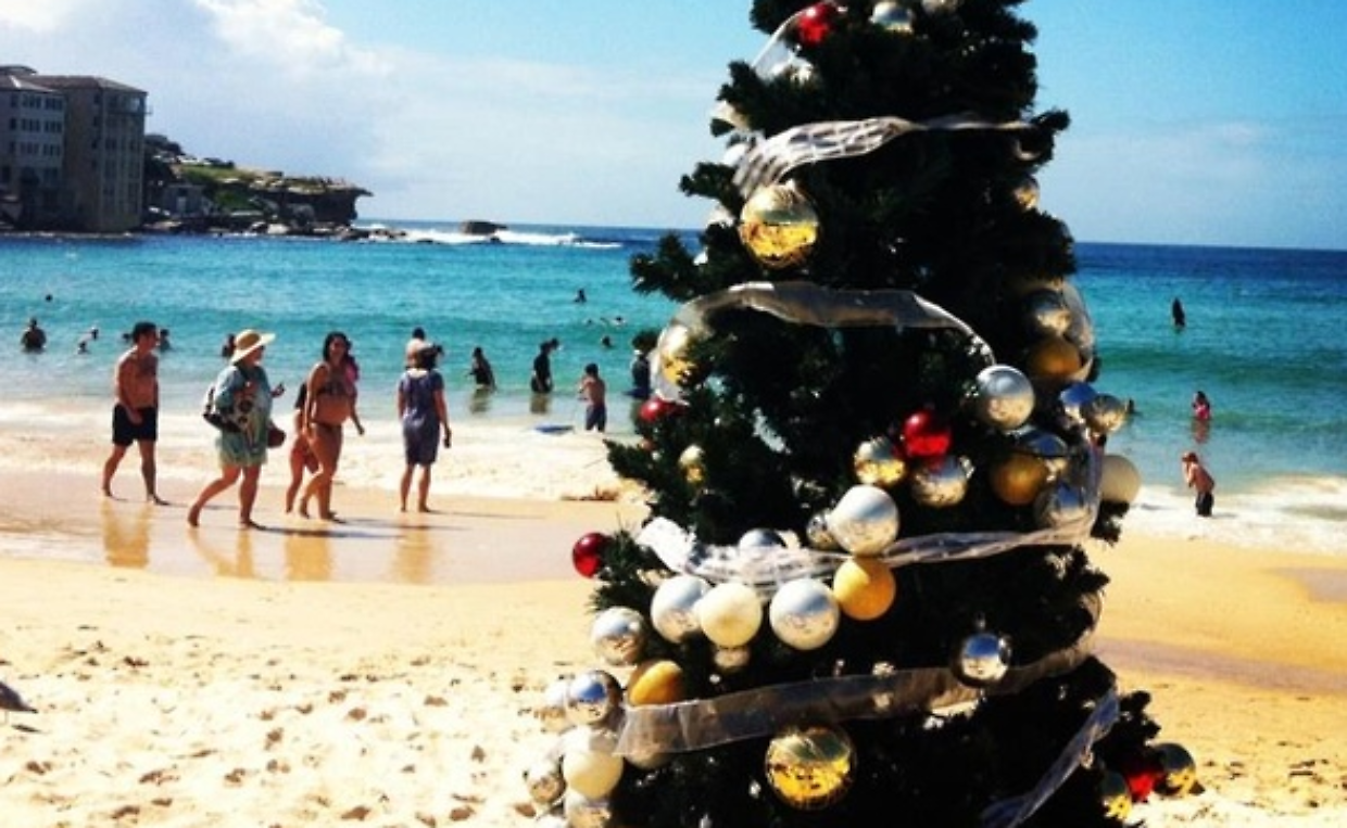 Fa l'albero di Natale in estate. Perché? "E' colpa delle poste: 8 mesi per mandare un pacco"