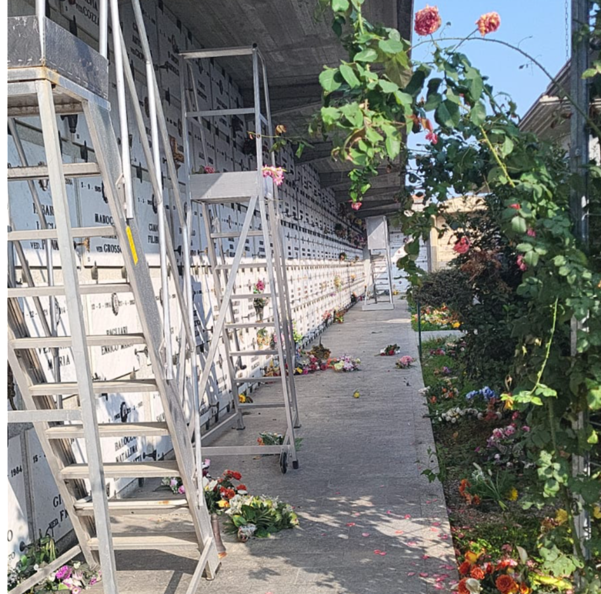 Raid al cimitero di Cambiano