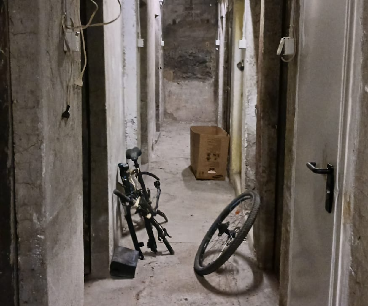 Furti nelle cantine a Vanchiglietta