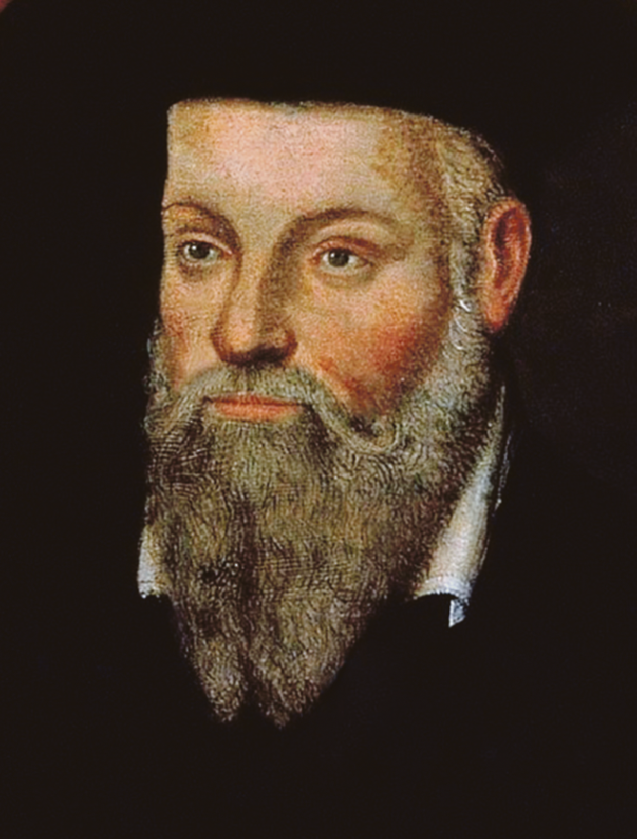 Ecco Nostradamus, il grande veggente transitò da Torino?