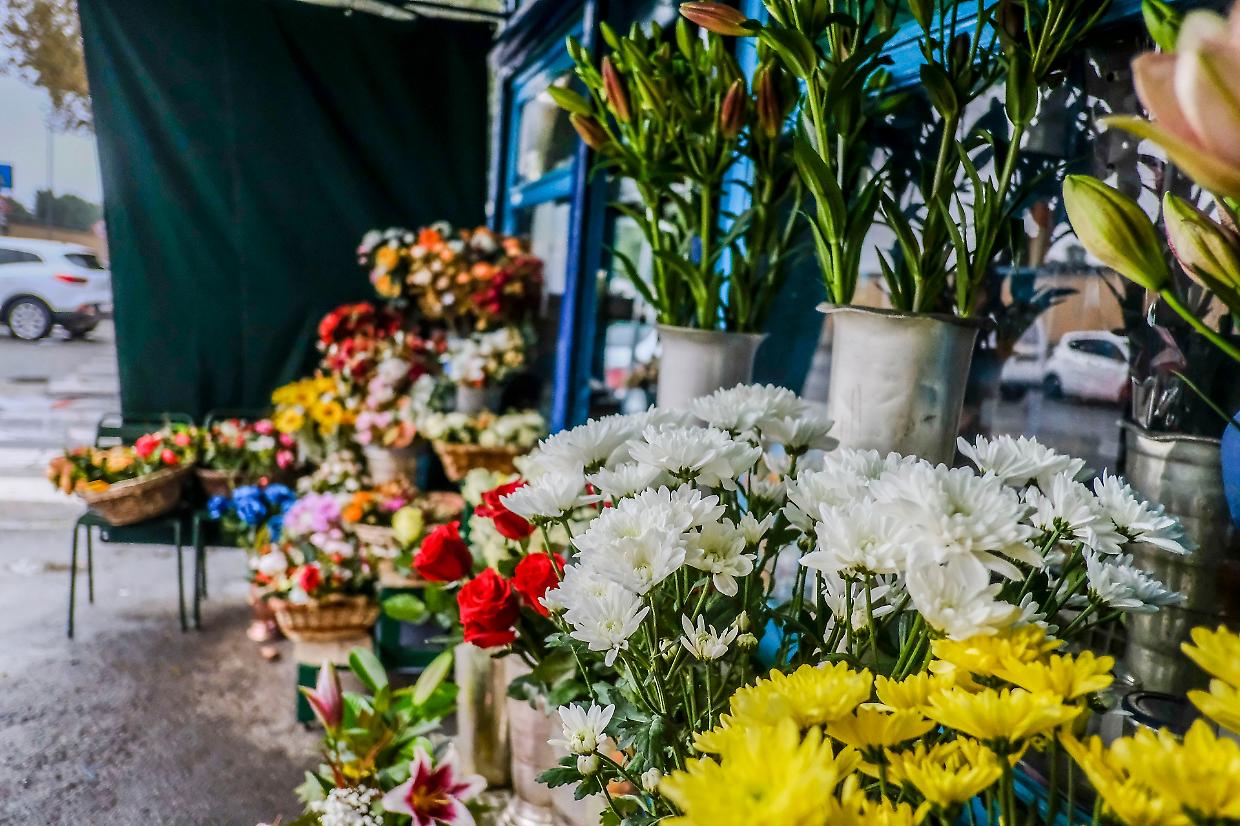 Furti al cimitero di Canelli: un'indagine tra dolore e giustizia