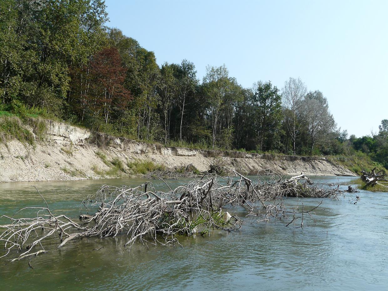 Le sponde del fiume