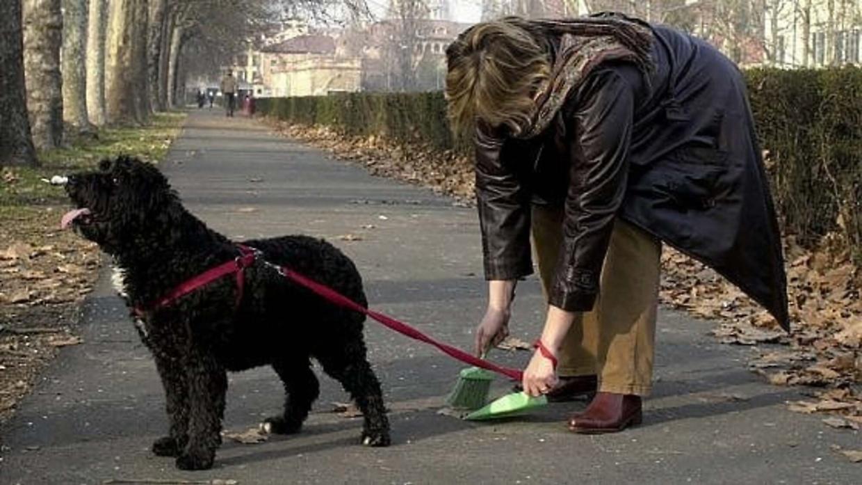 Nessuno multa i padroni per le deiezioni dei cani