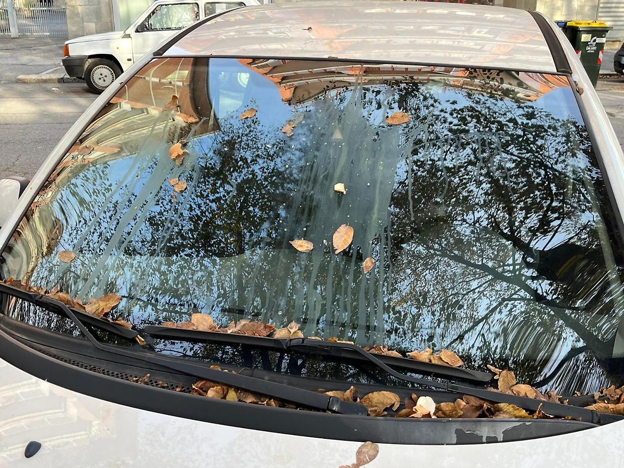 Uova sulle auto in corso Lombardia