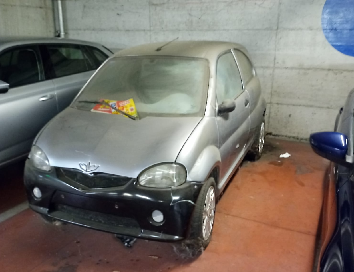 Auto abbandonate nel park Sofia
