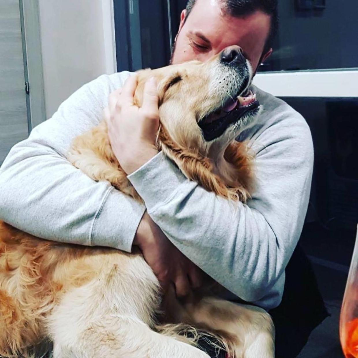 pet teraphy