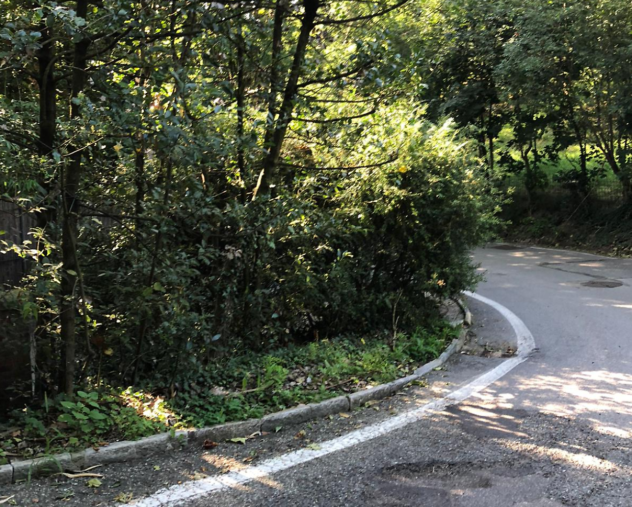 «La linea del 54 non basta per raggiungere il centro»